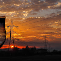 Un calice di sfumature di 