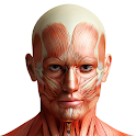 Human Anatomy Pro 2024