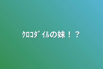 ｸﾛｺﾀﾞｲﾙの妹！？