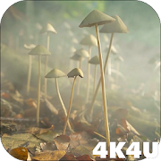 4K Mushrooms and Smoke Live Video Wallpaper  Icon