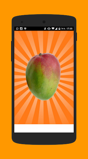 Mango Simulator