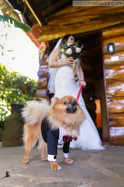 Wedding photographer Rodolfo Villeda (rodolfovilleda). Photo of 20 November 2019