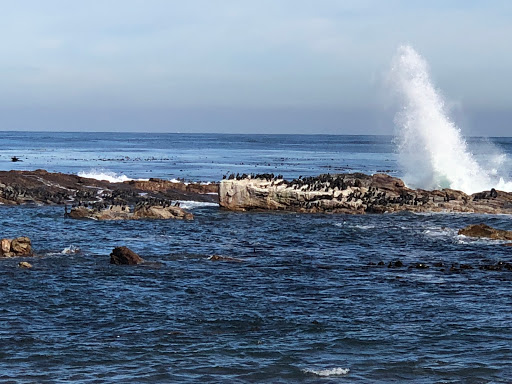 Cape Point South Africa 2018