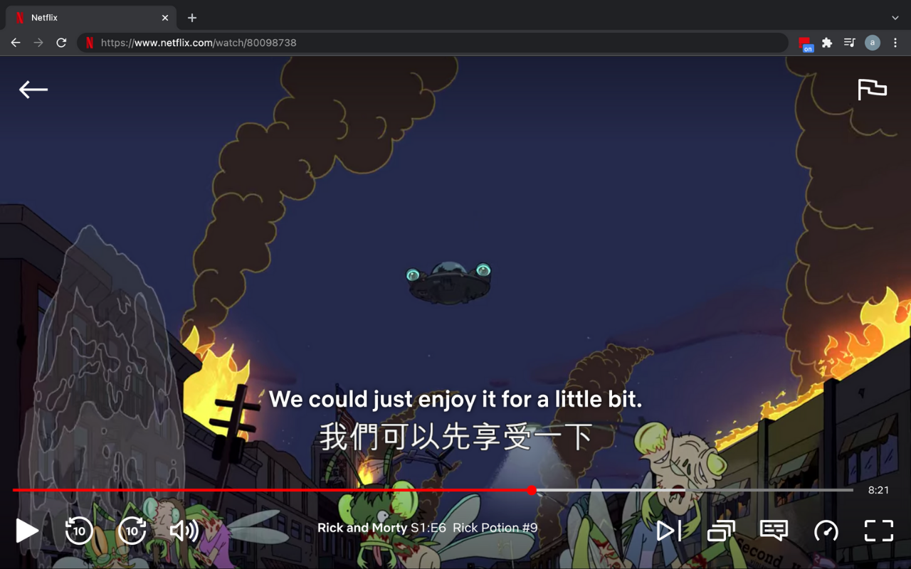 Netflix Bilingual Subtitles Preview image 0