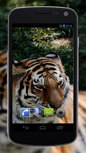 4K MightyTiger Video Live Wallpaper(圖2)-速報App