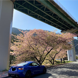 BRZ ZC6