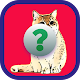 Download Animal Quiz Games: ANG For PC Windows and Mac 7.5.3z