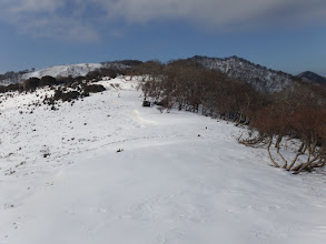 敢えて雪の上を進む