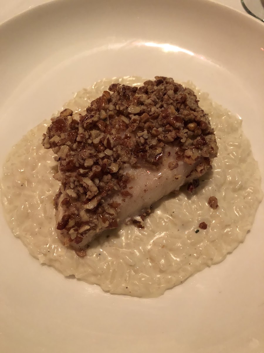 Pecan encrusted sea bass with parmesan Reggiano risotto
