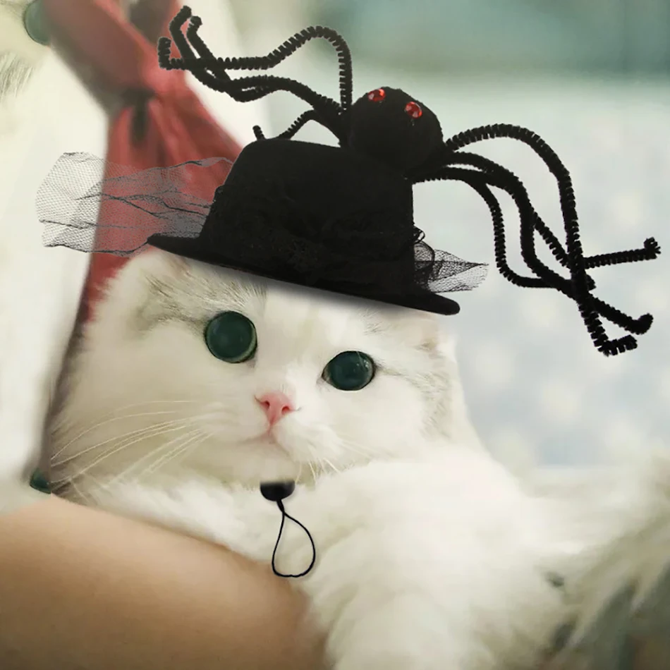 Chapeau amusant pour animaux de compagnie aux cheveux bouclés. Déguisement de chat drôle pour un look original. Accessoires pour animaux originaux.