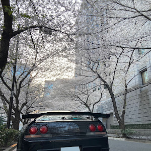 スカイライン ECR33