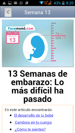 Screenshot Pregnancy Weeks Calculator