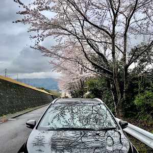 SX4 Sクロス YB22S