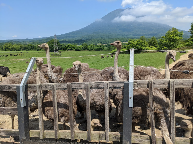 の投稿画像7枚目