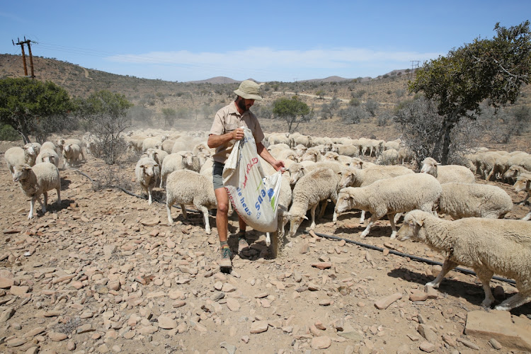 Marx Strydom from the farm Erekroon in Jansenville is dependent on feed donations to keep his stock alive.