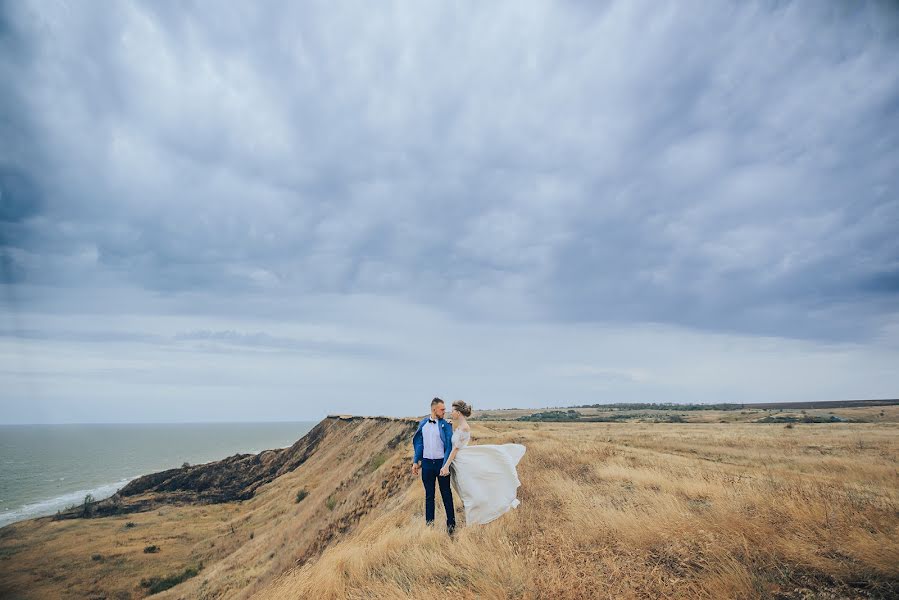 Wedding photographer Daria Agafonova (agafonovapro). Photo of 28 November 2018