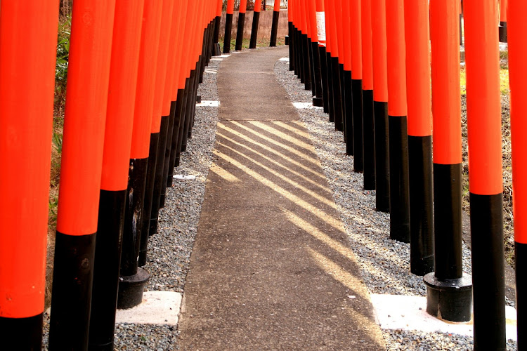 アトレーワゴンの鳥居⛩・写真・猫・いい感じに関するカスタム事例の投稿画像6枚目