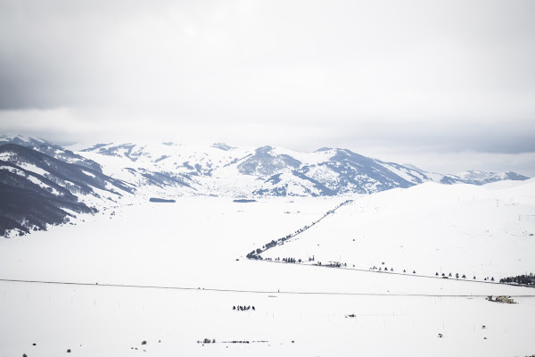 Soffice, candida neve bianca di Didi - Diana Gabrielli