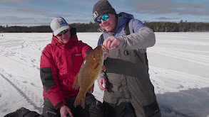 Early Ice: Walleye Smackdown thumbnail