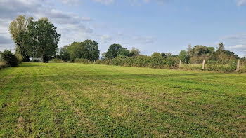 terrain à Mesnil-Saint-Père (10)