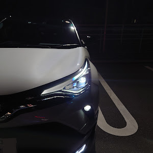 C-HR ZYX11