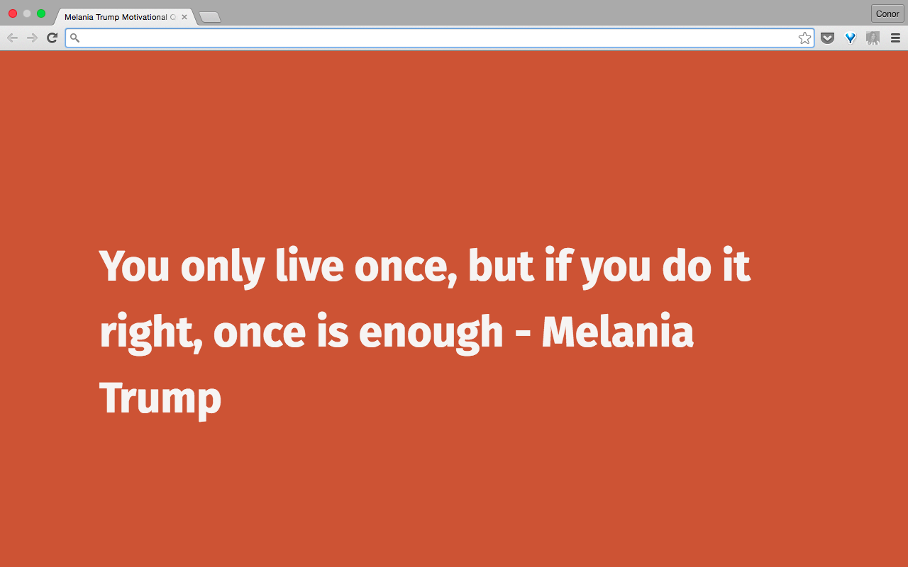 Melania Trump Motivational Quotes Preview image 6