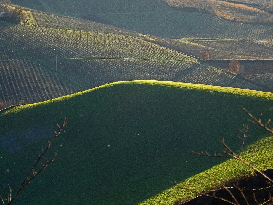 Ombre collinari di Marcellah