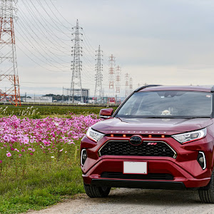 RAV4 AXAH54