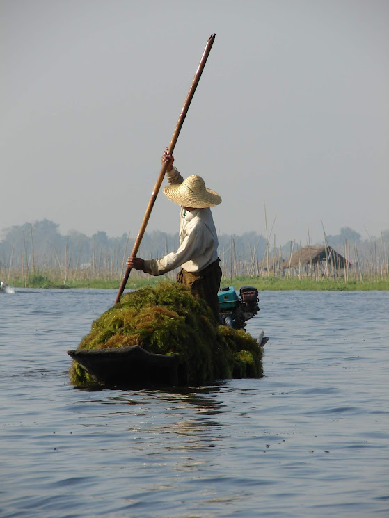 lac inle