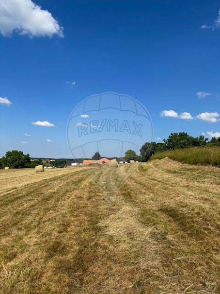 Vente terrain  2043 m² à Phalsbourg (57370), 75 000 €