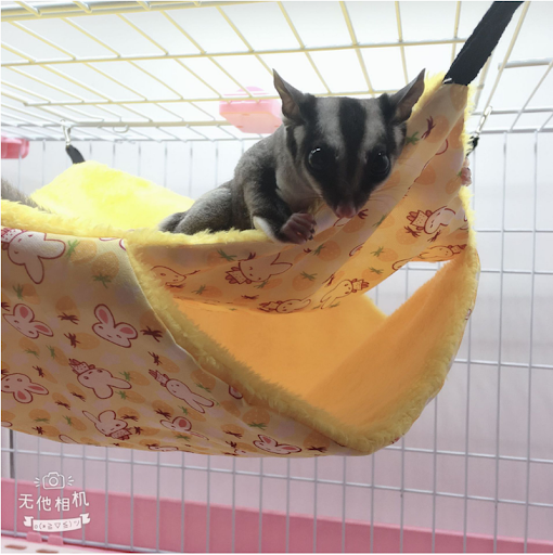 Pet Double-layer Plush Hammock Warm Hamster Hanging Bed Ferret Hanging Bed for Cat Rodents Hammock for Hamster Pets 