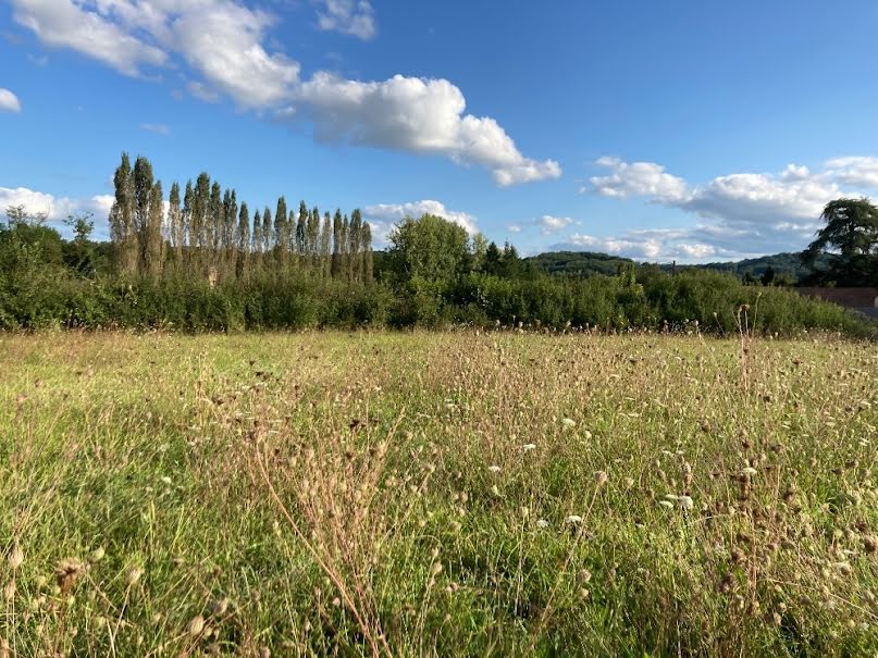 Vente terrain  2000 m² à Sainte-Nathalène (24200), 40 000 €