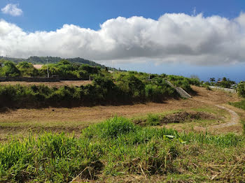 terrain à Le Plate (974)