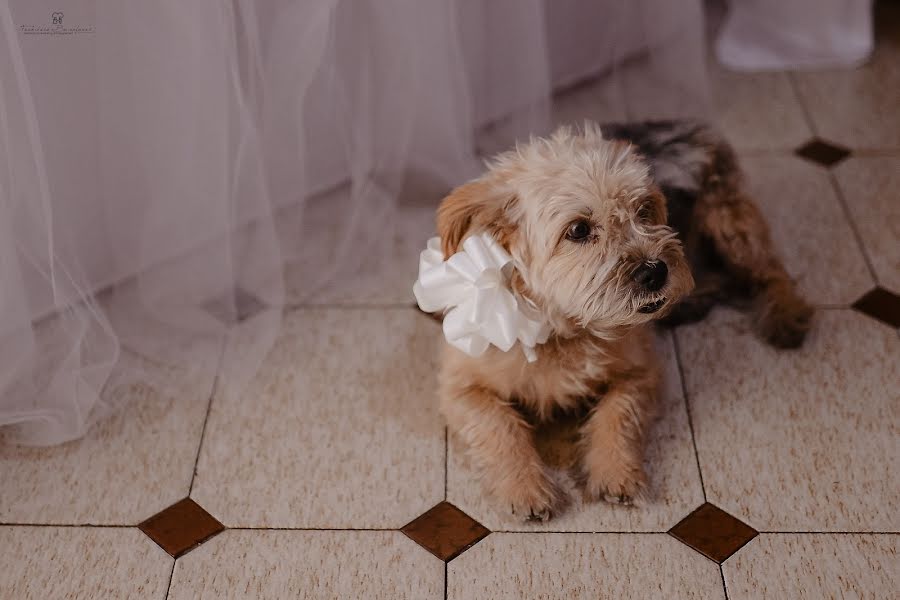 Fotógrafo de casamento Francesco Buccafurri (buccafurri). Foto de 25 de janeiro 2018