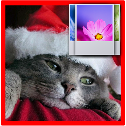 Christmas Cat Wallpaper