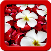 Flowers Live Wallpapers  Icon