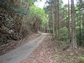 路肩に駐車し出発