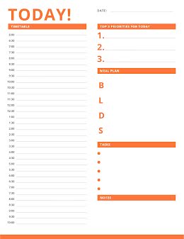 Orange Daily Timetable - Daily Planner item