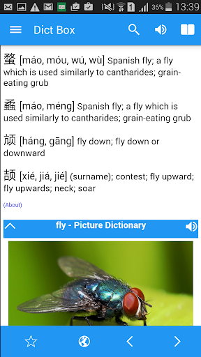 英漢 中英字典 Chinese Dictionary Box