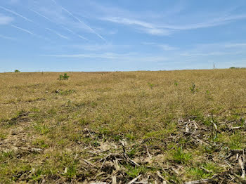 terrain à Sainte-Marie-de-Gosse (40)