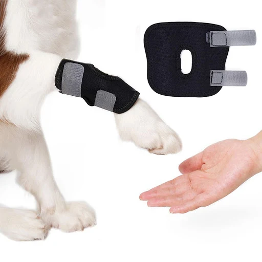 1 Pc Pet Knee Pads Support Brace for Leg Hock Joint Wrap Breathable Injury Recover Legs Dog Protector Support Protects B