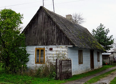 Zdjęcie: