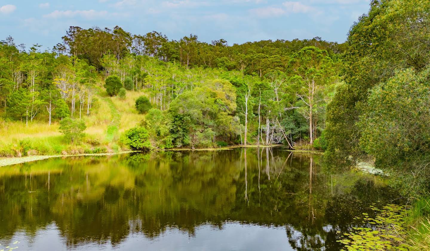 Land Sunshine Coast