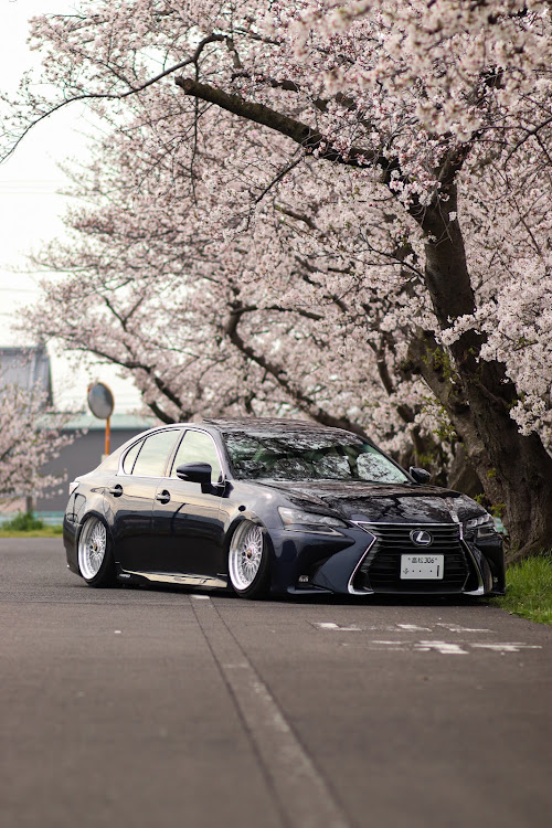 GSのサクラと愛車・桜とコラボに関するカスタム事例の投稿画像1枚目