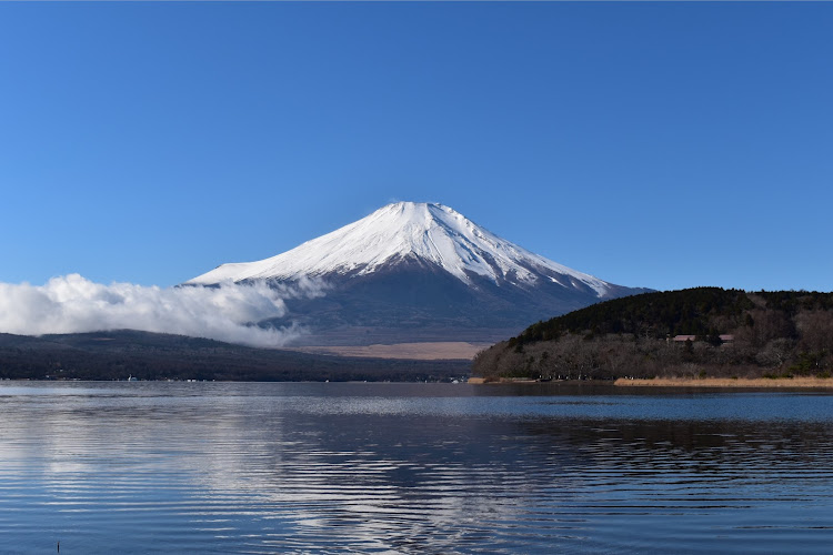 の投稿画像2枚目