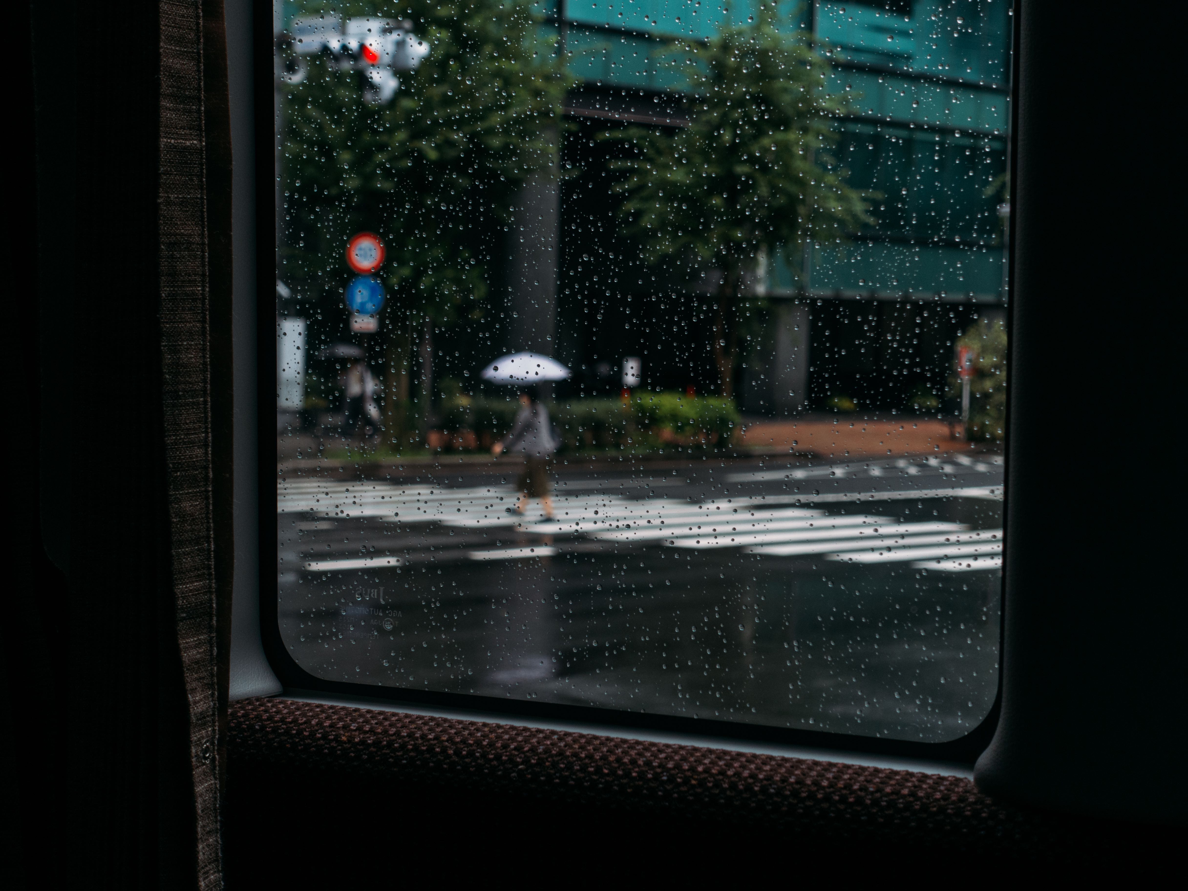 Pioggia a Tokyo di Alessandro Castelli