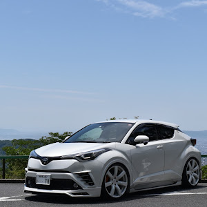 C-HR ZYX10