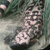 Gila Monster