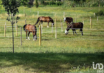 propriété à Chaptelat (87)