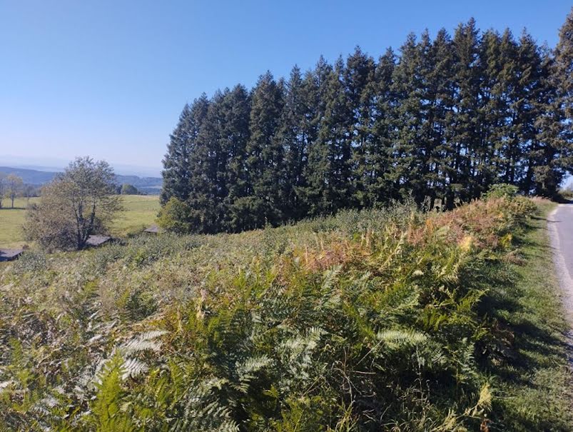 Vente terrain  3850 m² à Lachaux (63290), 49 990 €